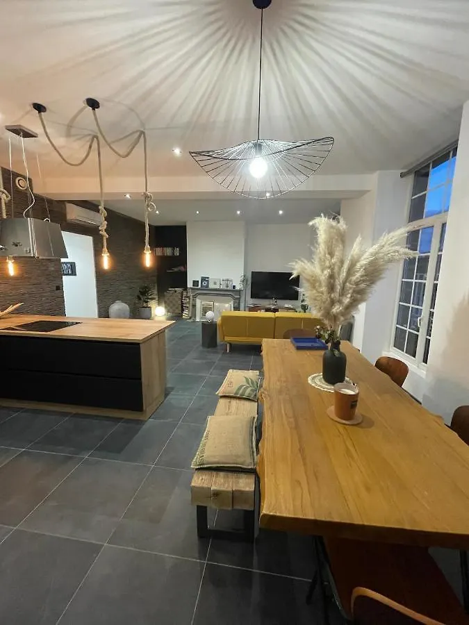 Appart 110M2 Terrasse Climatise Quartier Medieval Clermont-Ferrand 0*,