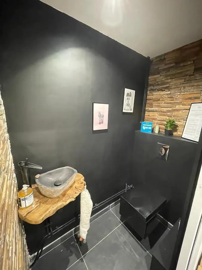 Apartment Appart 110M2 Terrasse Climatise Quartier Medieval Clermont-Ferrand